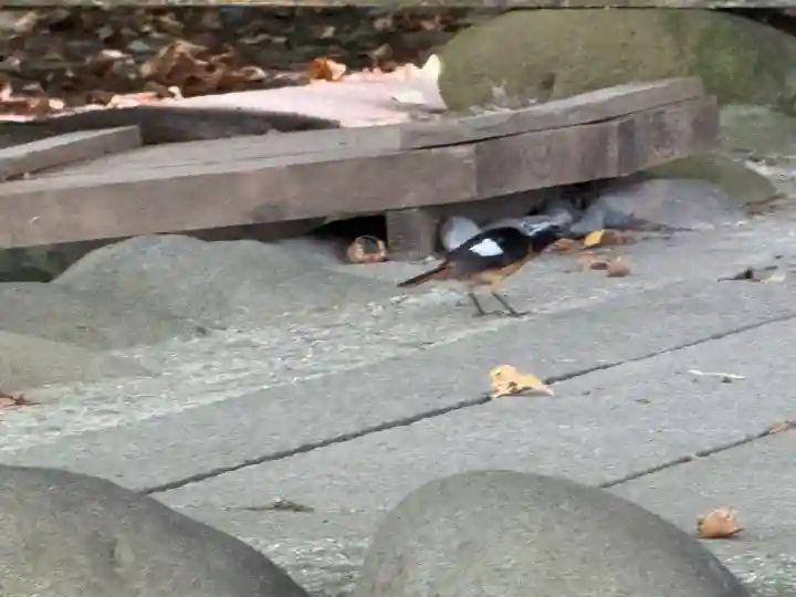 諏訪大社上社前宮(長野県)