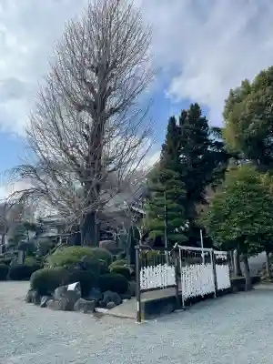 鹿島神社(神奈川県)