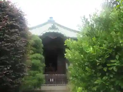 収玄寺の本殿・本堂