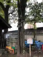 那古野神社の自然