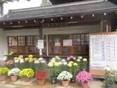 葛井寺(大阪府)