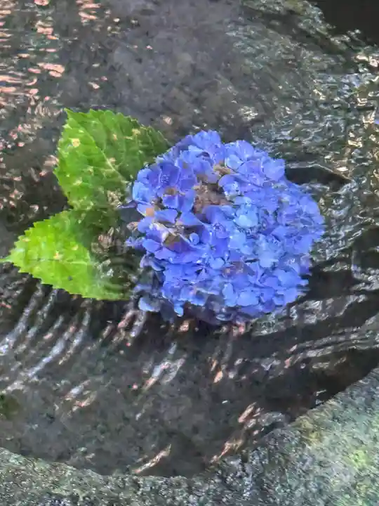 平泉寺白山神社(福井県)