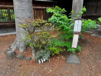 琴似神社のその他建物