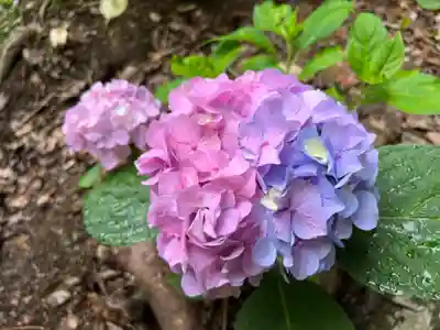 吉備津神社(岡山県)