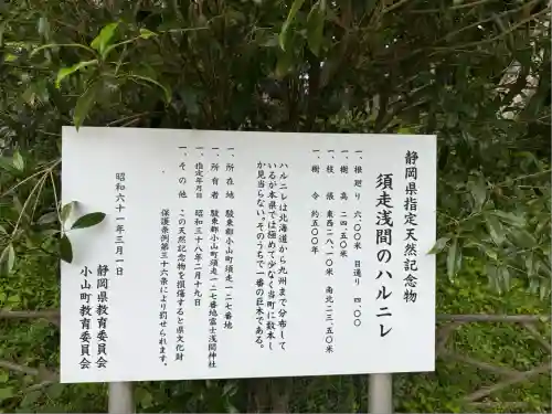 富士山東口本宮 冨士浅間神社(静岡県)
