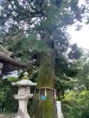 石山寺の自然