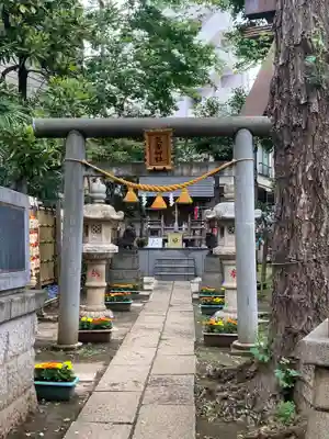 高円寺氷川神社の鳥居