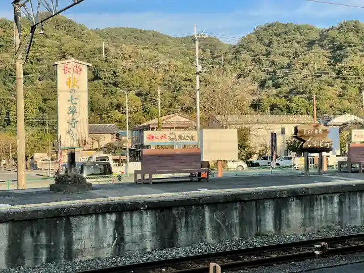 ブーメラン蛙神社(埼玉県)