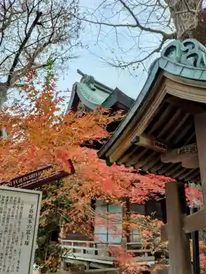 小野照崎神社(東京都)