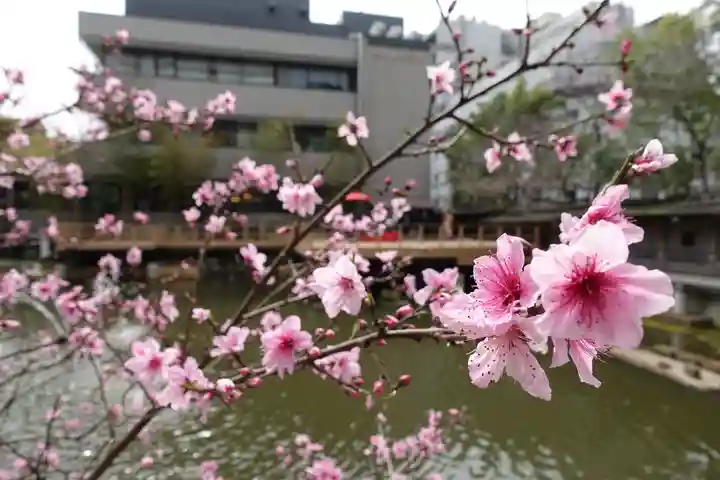 生田神社の自然