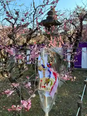北野天満宮の{uncategorized: "未分類", other: "その他", undefined: "問題あり", building: "その他建物", grave: "お墓", sacred_gate: "鳥居", guardian: "狛犬", statue: "像", buddha: "仏像", history: "歴史", nature: "自然", garden: "庭園", animal: "動物", pagoda: "塔", temizu: "手水舎", mountain_gate: "山門・神門", sanctuary: "本殿・本堂", subordinate: "末社・摂社", art: "芸術", scenery: "景色", jizo: "地蔵", ema: "絵馬", goshuin: "御朱印", omikuji: "おみくじ", items: "授与品その他", amulet: "お守り", goshuincho: "御朱印帳", eats: "食事", festival: "お祭り", votive_dance: "神楽", shichigosan: "七五三参", wedding: "結婚式", experience: "体験その他", initially: "初詣", around: "周辺", anti_infection: "感染症対策"}