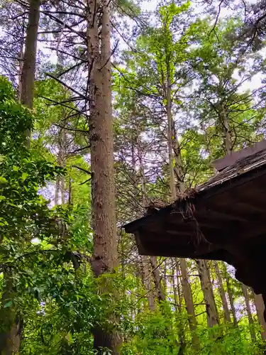 鹿島神社(茨城県)