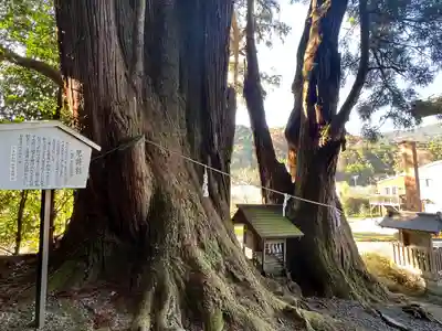 萩日吉神社(埼玉県)