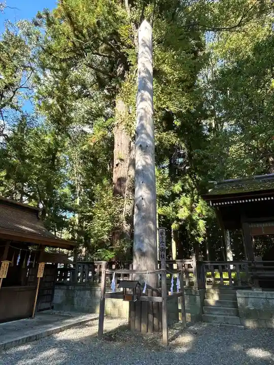 諏訪大社下社秋宮(長野県)