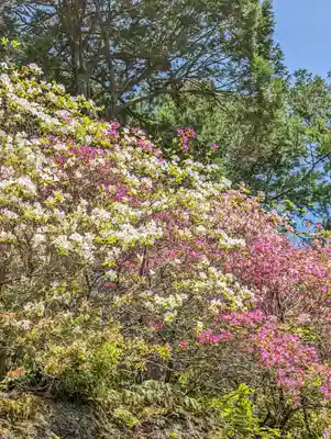 三室戸寺(京都府)