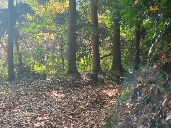 矢背負稲荷神社の周辺