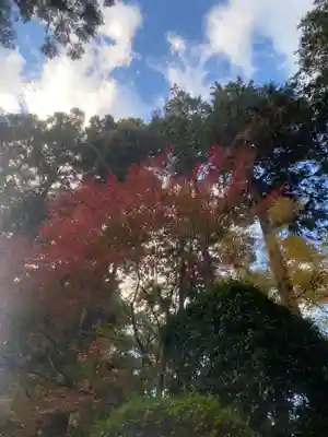 龍潭寺(静岡県)