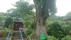 田上八幡神社の建物その他