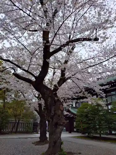 靖國神社(東京都)