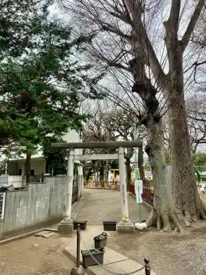 天祖神社（上目黒天祖神社）の{uncategorized: "未分類", other: "その他", undefined: "問題あり", building: "その他建物", grave: "お墓", sacred_gate: "鳥居", guardian: "狛犬", statue: "像", buddha: "仏像", history: "歴史", nature: "自然", garden: "庭園", animal: "動物", pagoda: "塔", temizu: "手水舎", mountain_gate: "山門・神門", sanctuary: "本殿・本堂", subordinate: "末社・摂社", art: "芸術", scenery: "景色", jizo: "地蔵", ema: "絵馬", goshuin: "御朱印", omikuji: "おみくじ", items: "授与品その他", amulet: "お守り", goshuincho: "御朱印帳", eats: "食事", festival: "お祭り", votive_dance: "神楽", shichigosan: "七五三参", wedding: "結婚式", experience: "体験その他", initially: "初詣", around: "周辺", anti_infection: "感染症対策"}