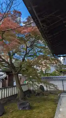 本満寺(本願満足寺)(京都府)