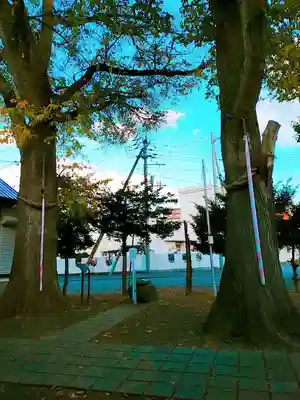 中の島神社(北海道)