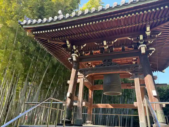 東圓寺の{uncategorized: "未分類", other: "その他", undefined: "問題あり", building: "その他建物", grave: "お墓", sacred_gate: "鳥居", guardian: "狛犬", statue: "像", buddha: "仏像", history: "歴史", nature: "自然", garden: "庭園", animal: "動物", pagoda: "塔", temizu: "手水舎", mountain_gate: "山門・神門", sanctuary: "本殿・本堂", subordinate: "末社・摂社", art: "芸術", scenery: "景色", jizo: "地蔵", ema: "絵馬", goshuin: "御朱印", omikuji: "おみくじ", items: "授与品その他", amulet: "お守り", goshuincho: "御朱印帳", eats: "食事", festival: "お祭り", votive_dance: "神楽", shichigosan: "七五三参", wedding: "結婚式", experience: "体験その他", initially: "初詣", around: "周辺", anti_infection: "感染症対策"}