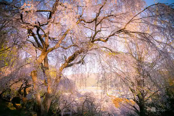 飯野川亀ヶ森八幡神社(宮城県)