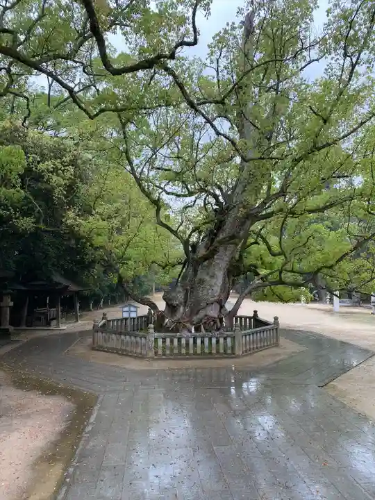 大山祇神社(愛媛県)