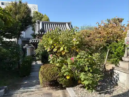 青蓮寺(大阪府)