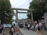浅草神社の鳥居