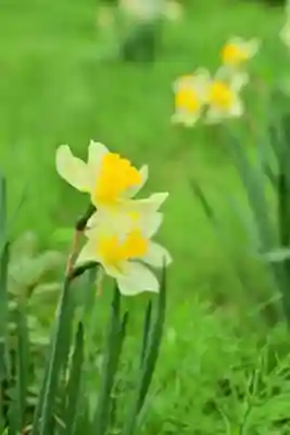 竹之高地不動社(新潟県)