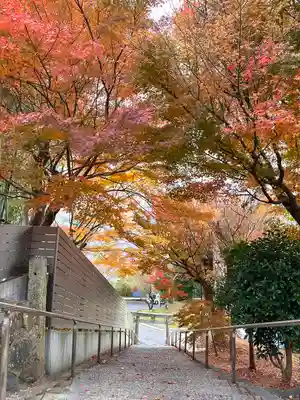 足立山妙見宮（御祖神社）(福岡県)