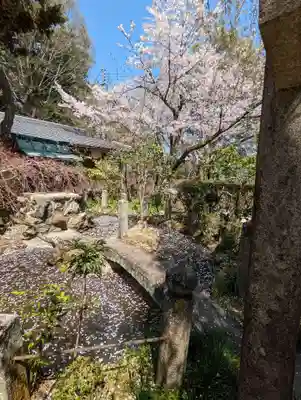 岩屋寺(京都府)