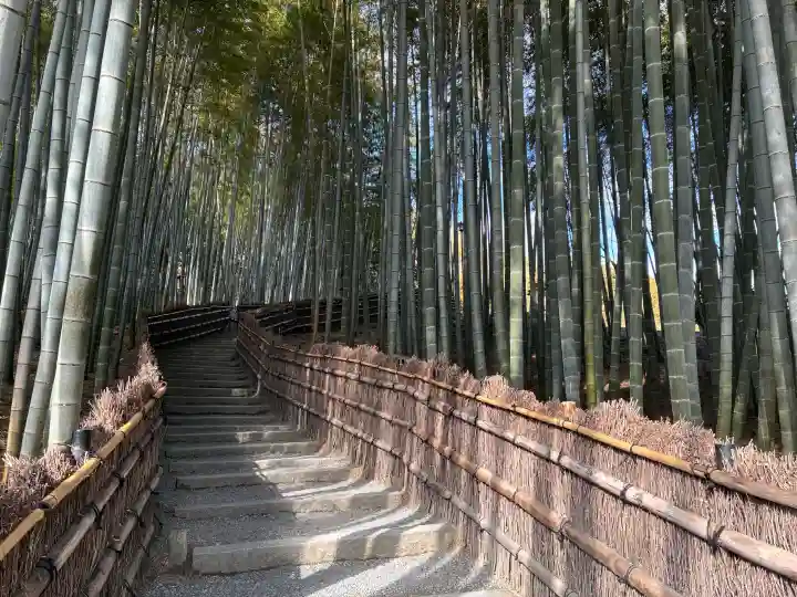 化野念仏寺の{uncategorized: "未分類", other: "その他", undefined: "問題あり", building: "その他建物", grave: "お墓", sacred_gate: "鳥居", guardian: "狛犬", statue: "像", buddha: "仏像", history: "歴史", nature: "自然", garden: "庭園", animal: "動物", pagoda: "塔", temizu: "手水舎", mountain_gate: "山門・神門", sanctuary: "本殿・本堂", subordinate: "末社・摂社", art: "芸術", scenery: "景色", jizo: "地蔵", ema: "絵馬", goshuin: "御朱印", omikuji: "おみくじ", items: "授与品その他", amulet: "お守り", goshuincho: "御朱印帳", eats: "食事", festival: "お祭り", votive_dance: "神楽", shichigosan: "七五三参", wedding: "結婚式", experience: "体験その他", initially: "初詣", around: "周辺", anti_infection: "感染症対策"}