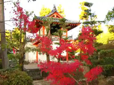 萬年寺のその他建物