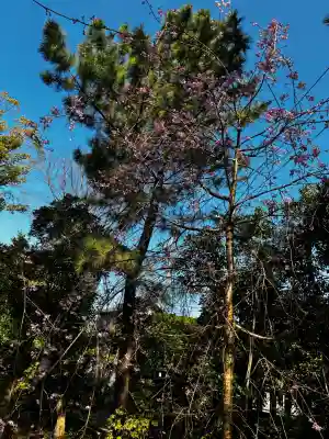 宮山神社の{uncategorized: "未分類", other: "その他", undefined: "問題あり", building: "その他建物", grave: "お墓", sacred_gate: "鳥居", guardian: "狛犬", statue: "像", buddha: "仏像", history: "歴史", nature: "自然", garden: "庭園", animal: "動物", pagoda: "塔", temizu: "手水舎", mountain_gate: "山門・神門", sanctuary: "本殿・本堂", subordinate: "末社・摂社", art: "芸術", scenery: "景色", jizo: "地蔵", ema: "絵馬", goshuin: "御朱印", omikuji: "おみくじ", items: "授与品その他", amulet: "お守り", goshuincho: "御朱印帳", eats: "食事", festival: "お祭り", votive_dance: "神楽", shichigosan: "七五三参", wedding: "結婚式", experience: "体験その他", initially: "初詣", around: "周辺", anti_infection: "感染症対策"}
