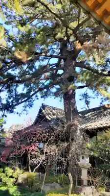 玄国寺(東京都)