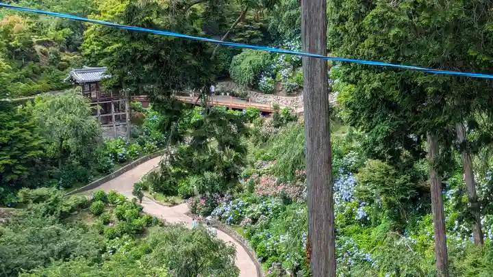 三鈷寺(京都府)