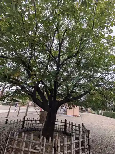 池上本門寺(東京都)