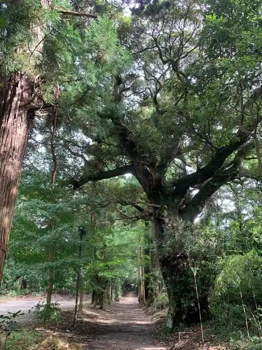 縣神社の周辺