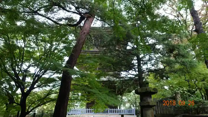 道場寺のその他建物
