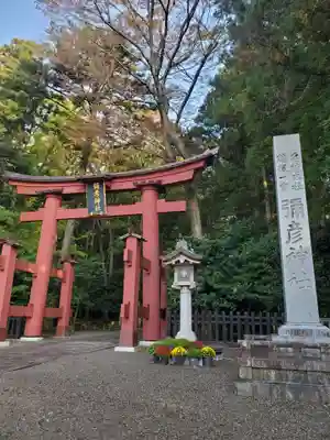 彌彦神社(新潟県)