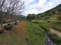 朝倉神社(福井県)