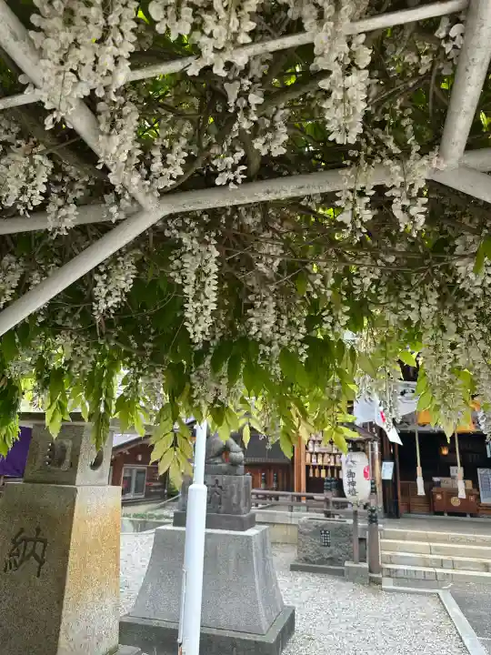 奥田神社の{uncategorized: "未分類", other: "その他", undefined: "問題あり", building: "その他建物", grave: "お墓", sacred_gate: "鳥居", guardian: "狛犬", statue: "像", buddha: "仏像", history: "歴史", nature: "自然", garden: "庭園", animal: "動物", pagoda: "塔", temizu: "手水舎", mountain_gate: "山門・神門", sanctuary: "本殿・本堂", subordinate: "末社・摂社", art: "芸術", scenery: "景色", jizo: "地蔵", ema: "絵馬", goshuin: "御朱印", omikuji: "おみくじ", items: "授与品その他", amulet: "お守り", goshuincho: "御朱印帳", eats: "食事", festival: "お祭り", votive_dance: "神楽", shichigosan: "七五三参", wedding: "結婚式", experience: "体験その他", initially: "初詣", around: "周辺", anti_infection: "感染症対策"}