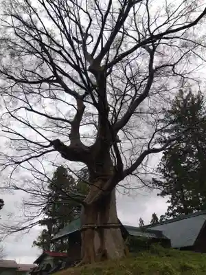 大和神社(新潟県)