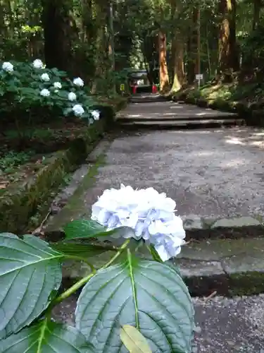 狭野神社(宮崎県)