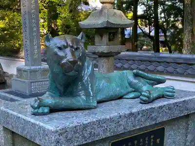 金剛證寺の狛犬