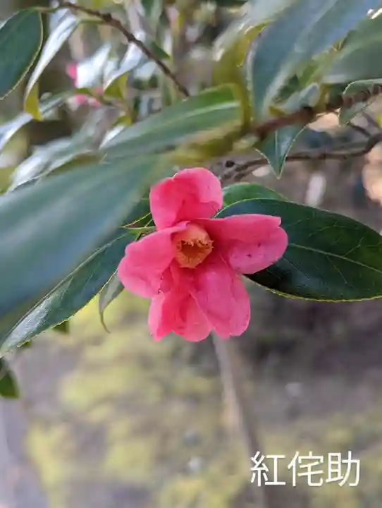 城南宮(京都府)