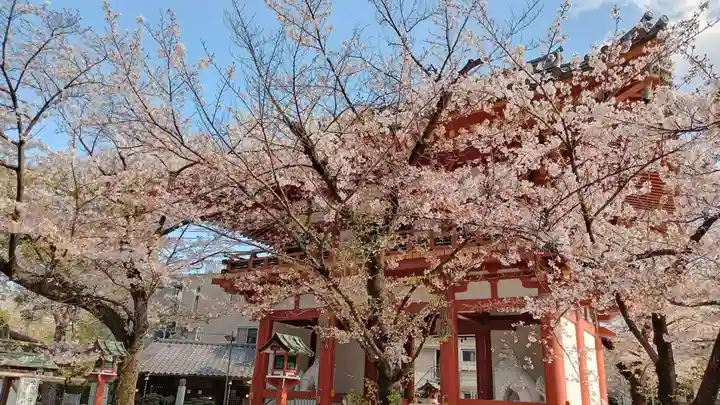 瀧泉寺(目黒不動尊)の自然